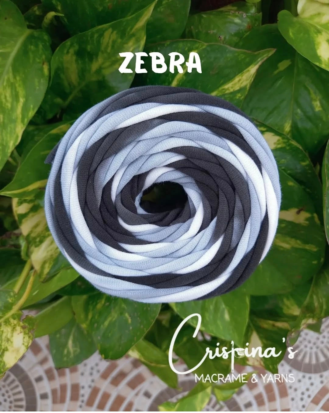 Zebra Multi color Tshirt yarns